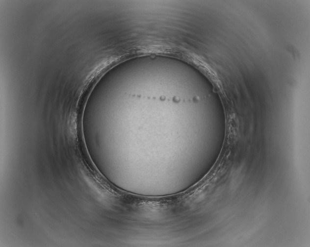 X0000112510298200908171339