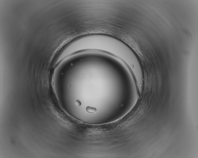 X0000112510300200908171339