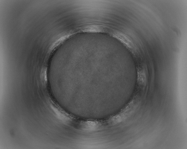 X0000112510302200908171339