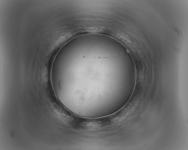 X0000112510303200908171339