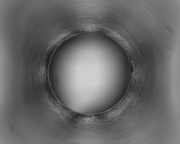 X0000112510306200908171339