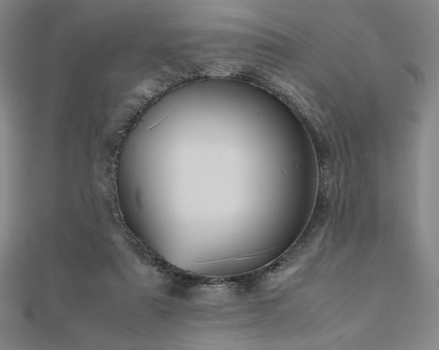 X0000112510307200908171339