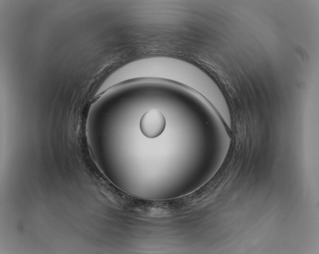 X0000112510308200908171339