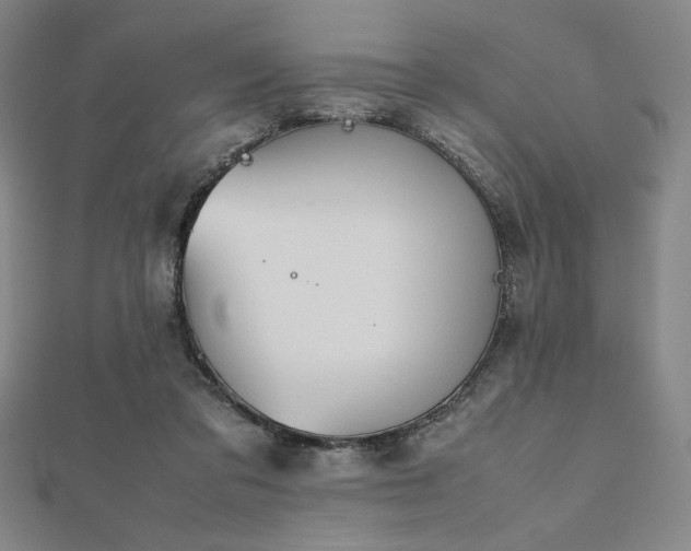 X0000112510309200908171339