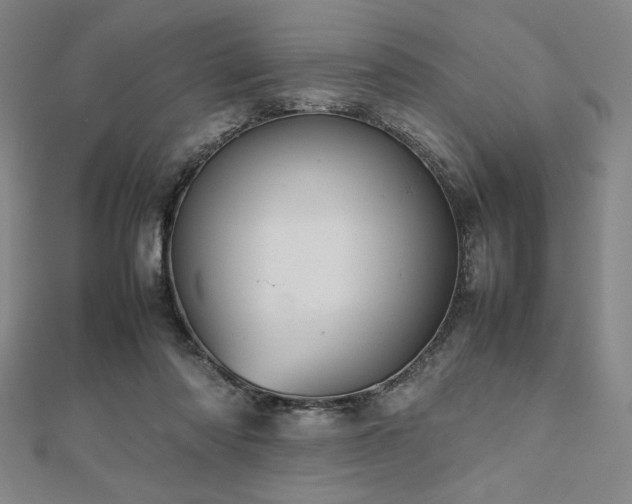 X0000112510310200908171339