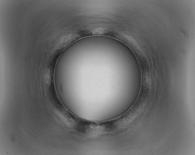 X0000112510311200908171339