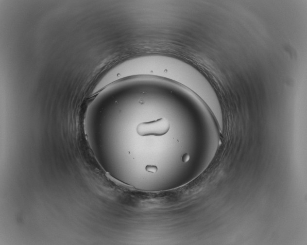 X0000112510312200908171339