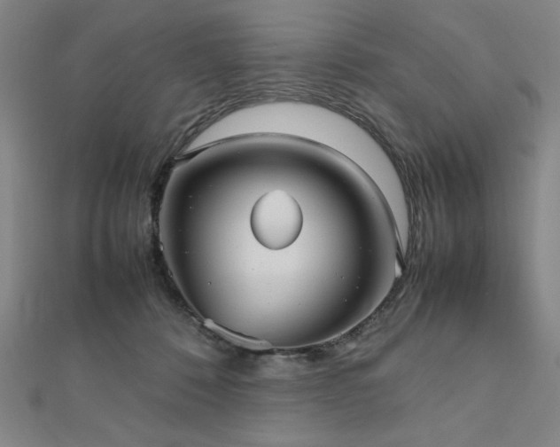 X0000112510320200908171339