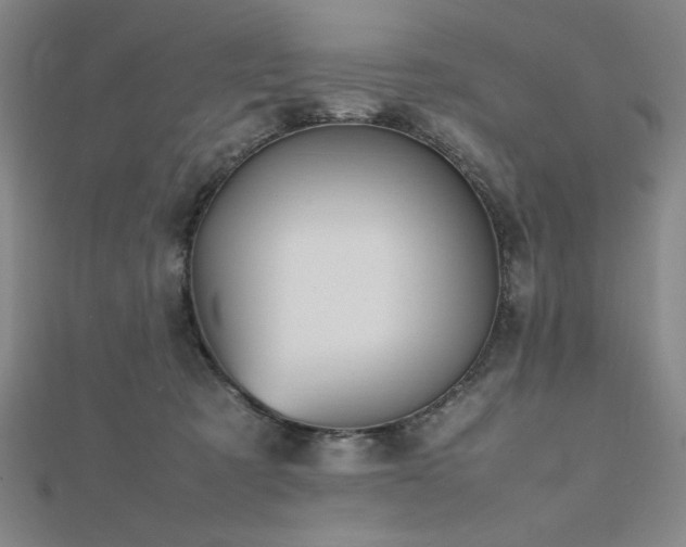 X0000112510321200908171339