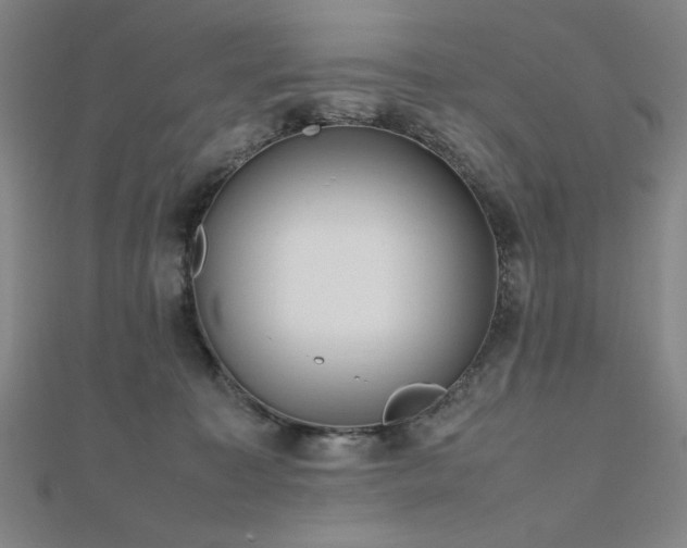 X0000112510323200908171339