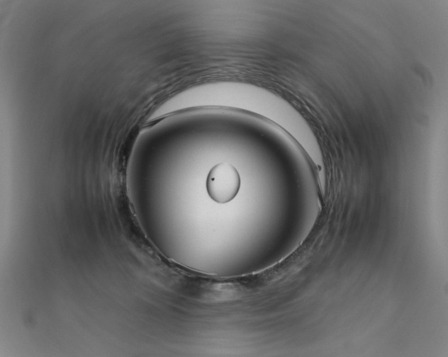 X0000112510324200908171339