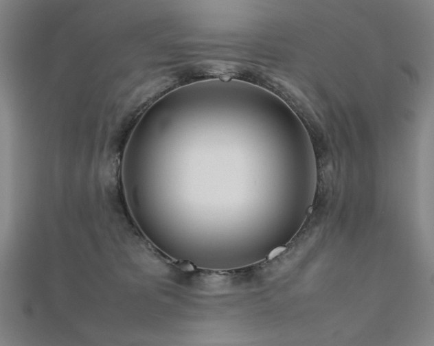 X0000112510325200908171339