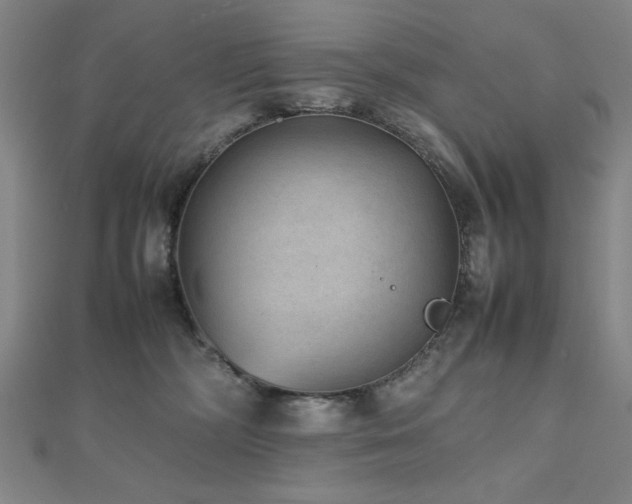 X0000112510326200908171339