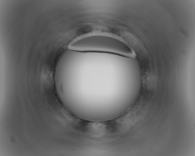 X0000112510327200908171339