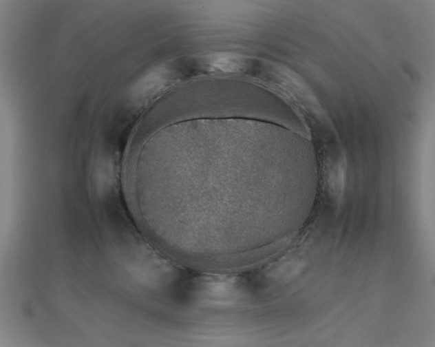 X0000112510328200908171339