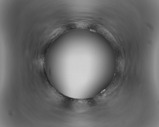 X0000112510329200908171339