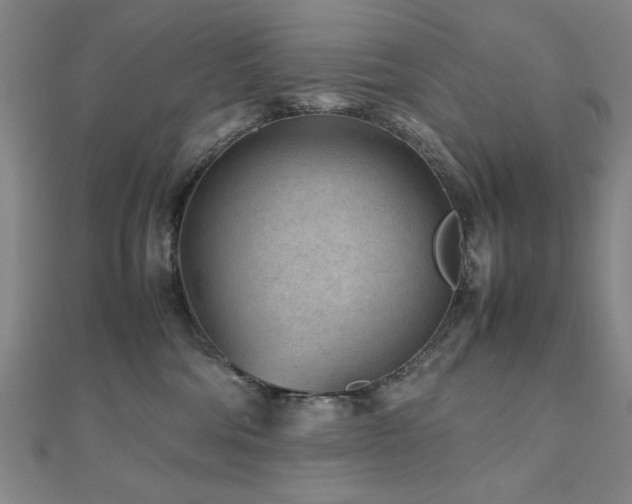 X0000112510330200908171339