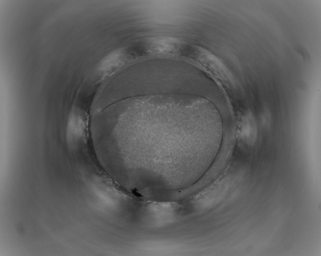 X0000112510332200908171339