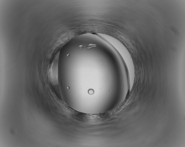 X0000112510333200908171339