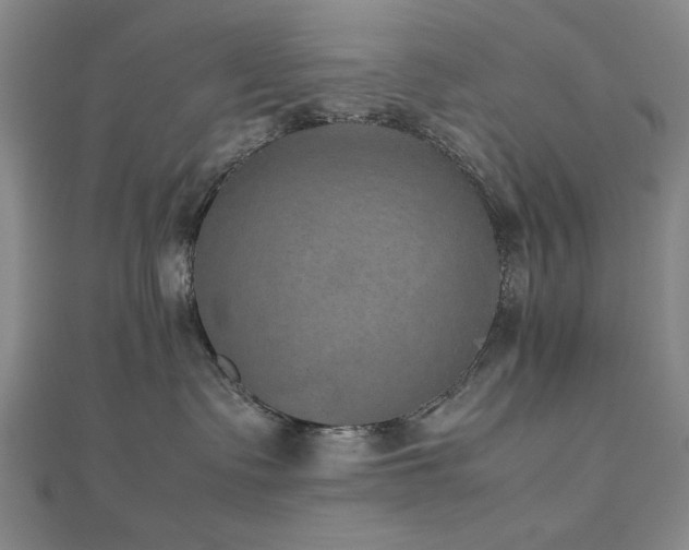 X0000112510335200908171339