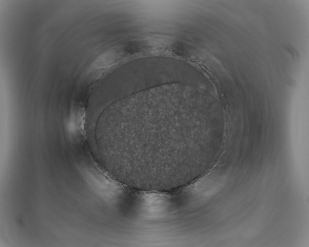 X0000112510336200908171339