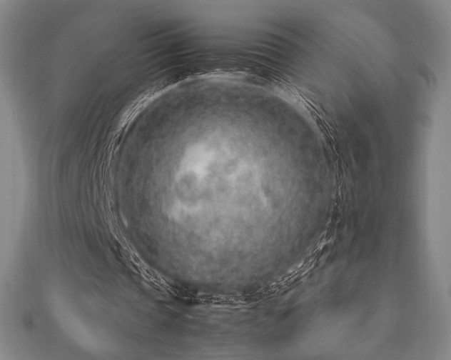 X0000112510337200908171338