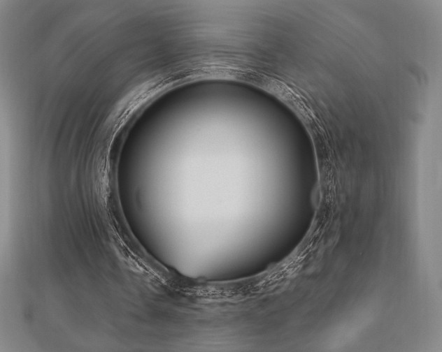 X0000112510338200908171338