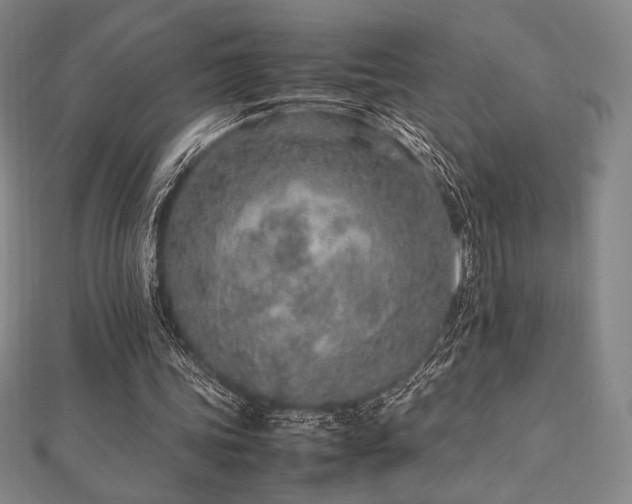 X0000112510339200908171338