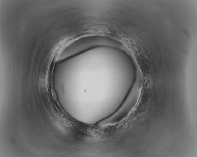 X0000112510340200908171338