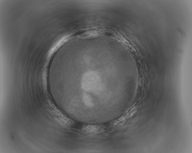 X0000112510341200908171338