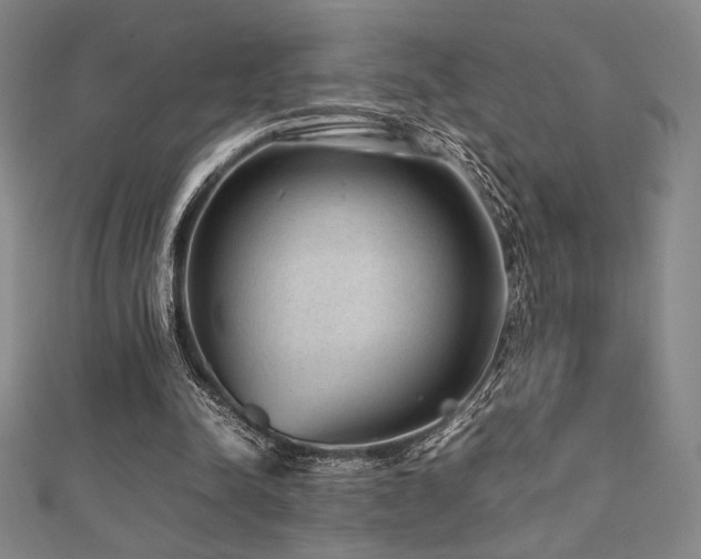 X0000112510342200908171338