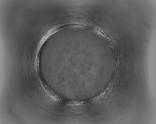 X0000112510343200908171338