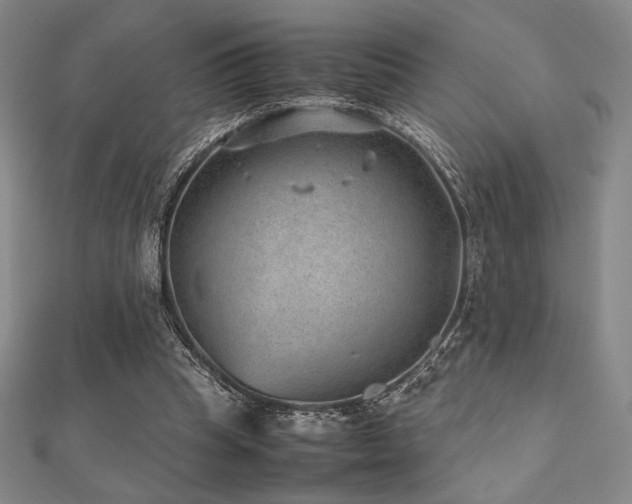 X0000112510345200908171338