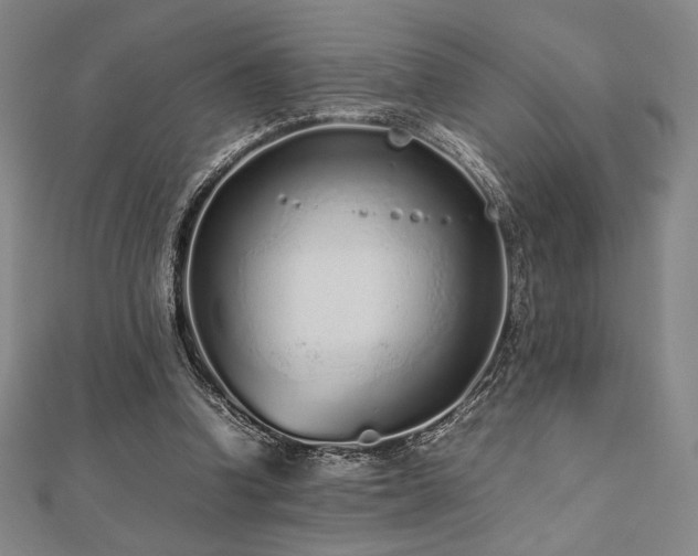 X0000112510346200908171338