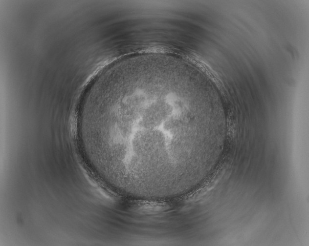 X0000112510347200908171338