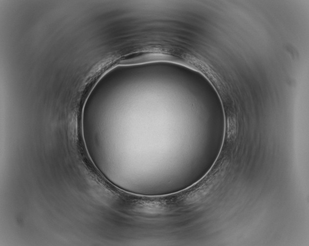 X0000112510349200908171338