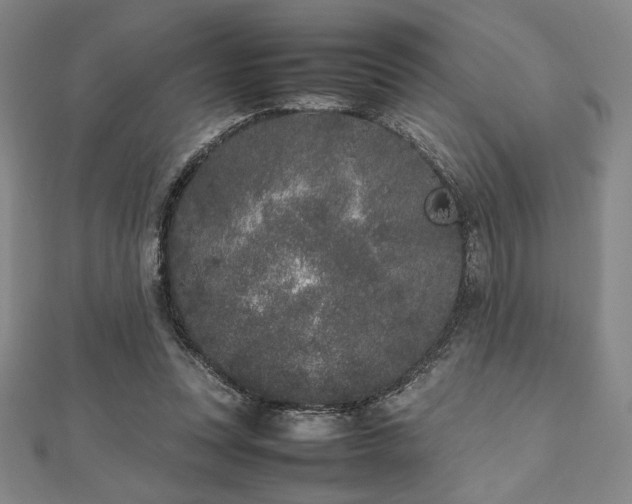 X0000112510351200908171338