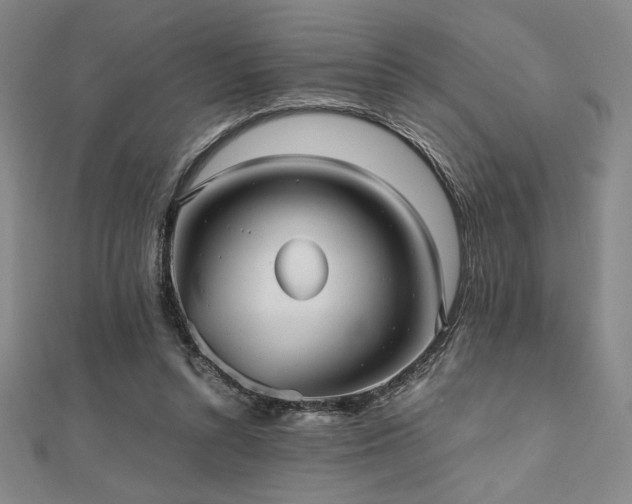 X0000112510352200908171338