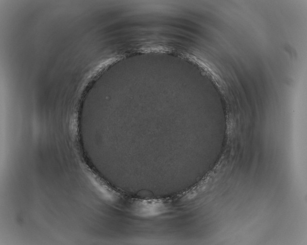 X0000112510353200908171338