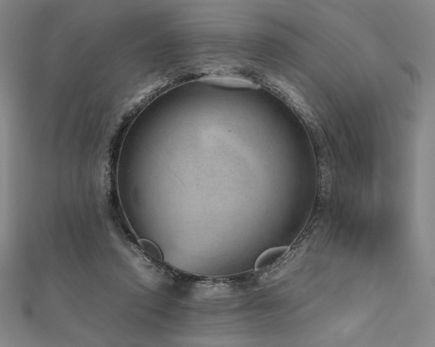 X0000112510354200908171338