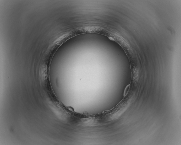 X0000112510356200908171338