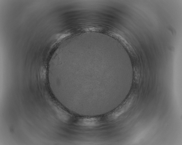 X0000112510357200908171338