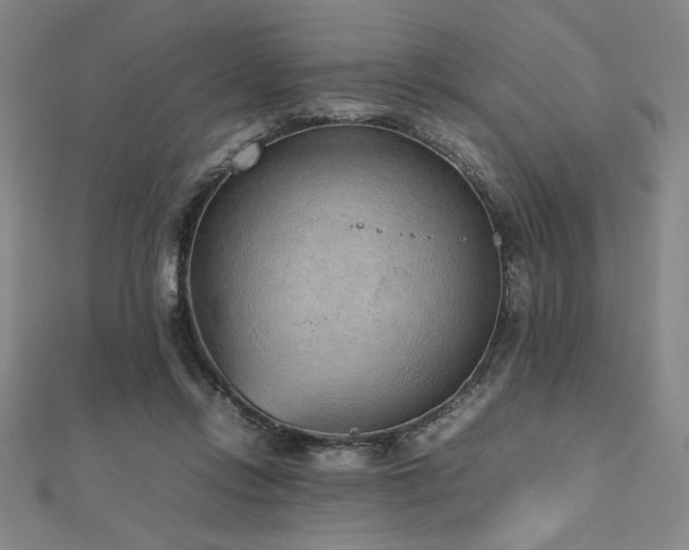 X0000112510358200908171338