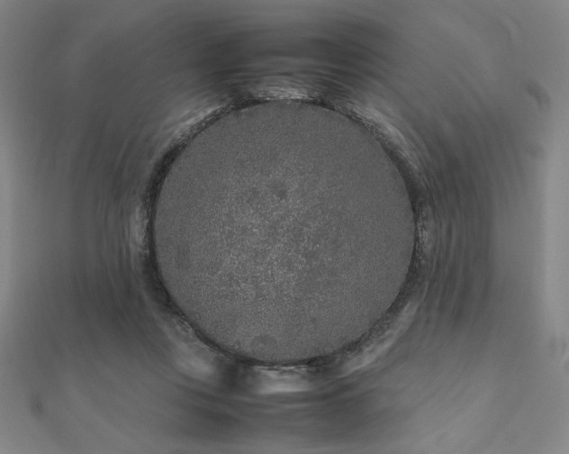 X0000112510359200908171338