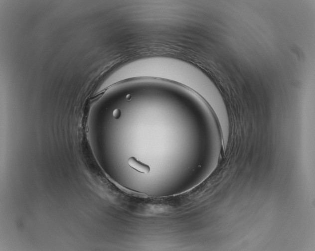 X0000112510360200908171338