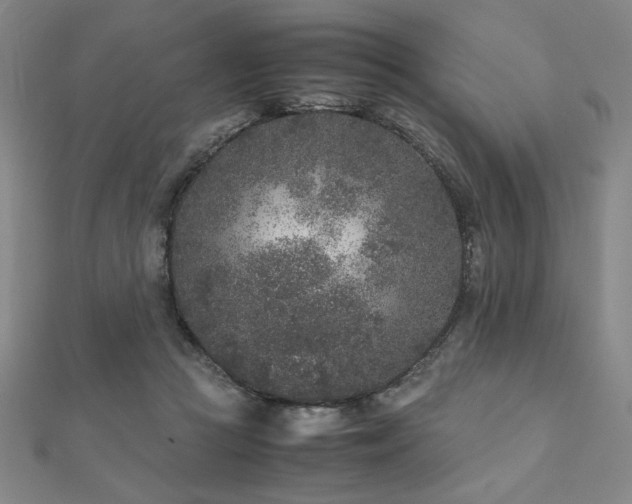 X0000112510361200908171338