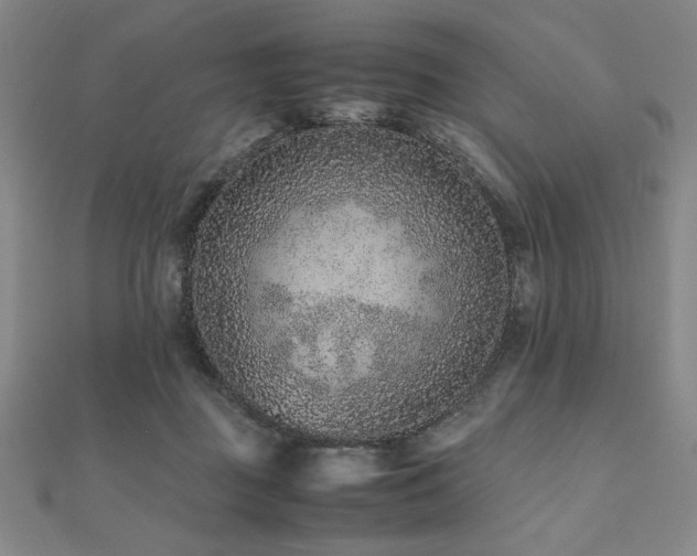 X0000112510363200908171338