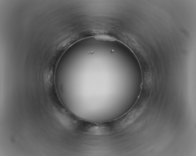 X0000112510364200908171338