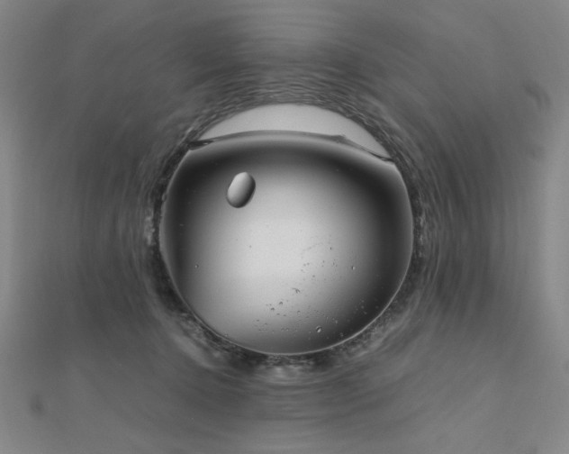 X0000112510368200908171338