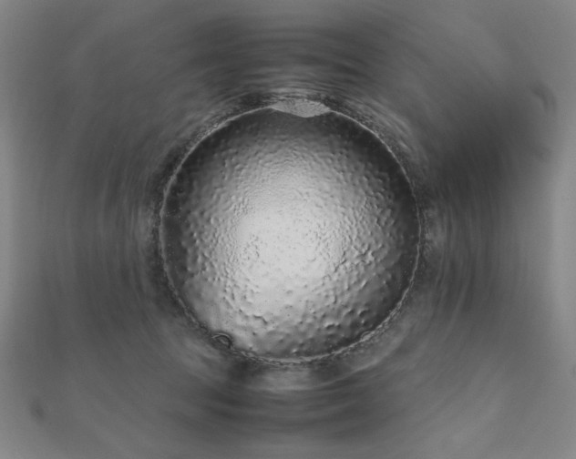 X0000112510369200908171338